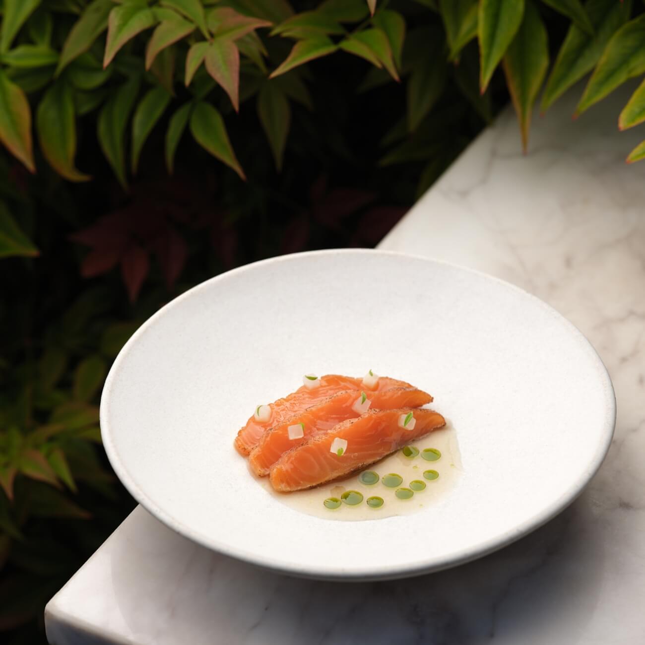 67c9684b40b71-Henrock -Salmon (1)@2x